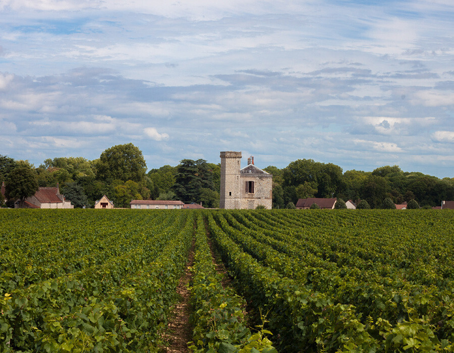 Organisation de séminaire dans un château ou domaine viticole